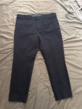 Banana Republic Sloan fit slim ankle dress pants trousers women’s size 2